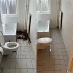 Gebäudereinigung Berlin 20 Vorher und nachher Badezimmerreinigung.
